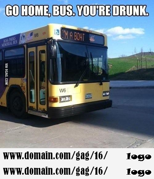 Go home bus  you are drunk